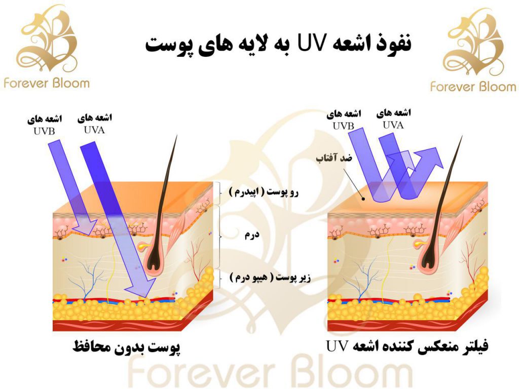 کرم ضد آفتاب و نفوذ اشعه UV به پوست